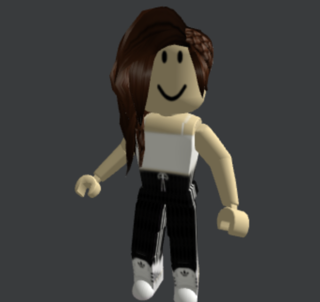 Brunette-Double-Sidebraid-Roblox-Avatar