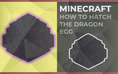 Minecraft: How to Hatch a Dragon Egg (From The End World)