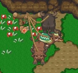 graal-summer-festival-2021-mounts-carabao